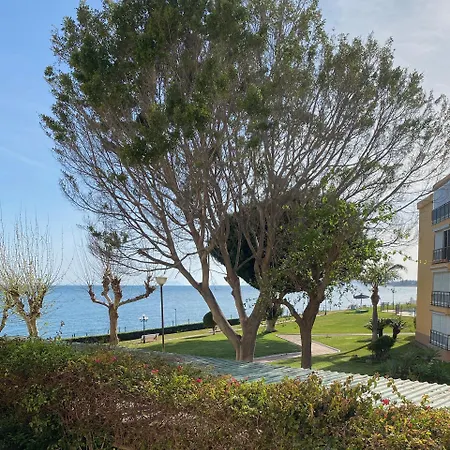 Appartement Palm Breeze Beachfront *